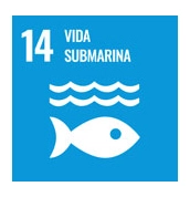 14ODS Vida Submarina